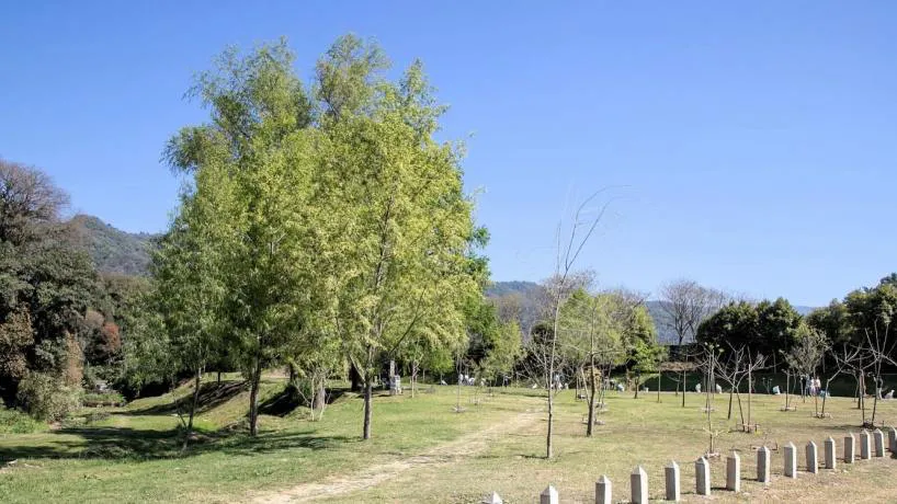 818x460_251016073054_20455
